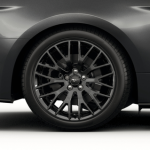 Platišče iz lahke zlitine 19" z 10 kraki, črn, zadaj